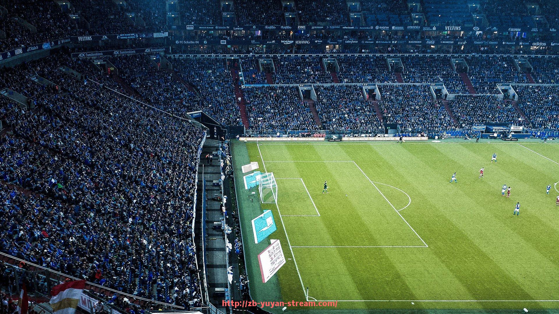 雨燕直播-世俱杯比赛中黄牌次数统计及犯规行为分析