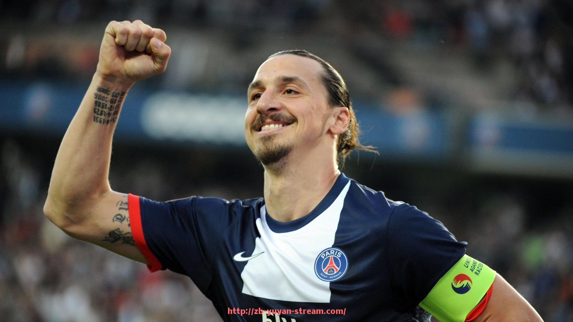 雨燕直播-法甲联赛冠军候选球队实力评估报告